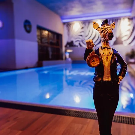 Ξενοδοχείο Kotarz Spa&wellness