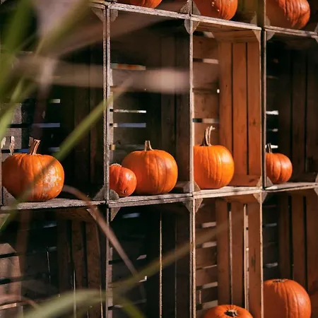 Hotel Kotarz Spa&wellness