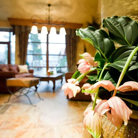 Kotarz Spa&wellness Hotel Brenna