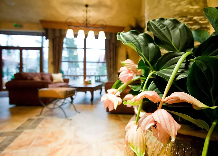 Kotarz Spa&wellness Hotel Brenna